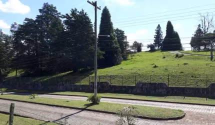 Terreno para Venda - 10000m², 0 dormitórios, Fazenda Souza