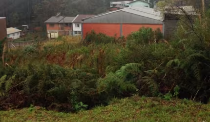 Terreno para Venda - 360m², 0 dormitórios, Cinqüentenário