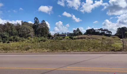 Área para Venda - 10000m², 0 dormitórios, Forqueta