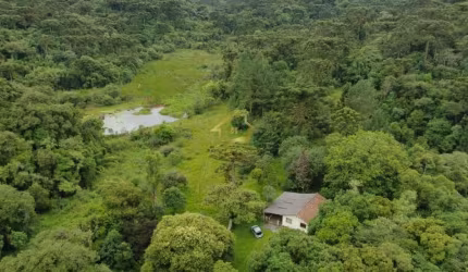 ÓTIMA CHÁCARA PARA VENDA EM CAMPINA GRANDE DO SUL