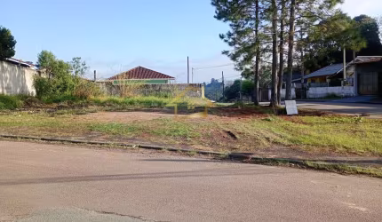 ÓTIMO TERRENO PARA VENDA NO JARDIM PINHEIROS