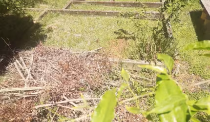 TERRENO BELA VISTA  - TE100953