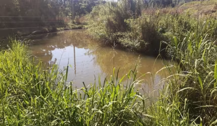 Chácara para venda,  São Braz, Caxias Do Sul - CH101130
