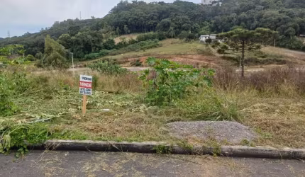 Terreno para venda,  São Luiz, Caxias Do Sul - TE101325