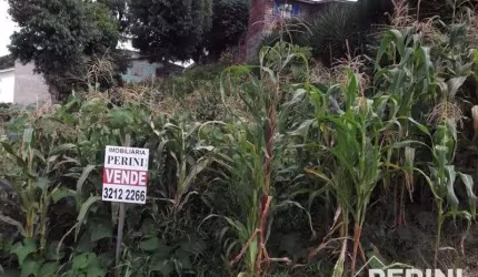 Terreno  para  Venda Cruzeiro Caxias do Sul - PE00308