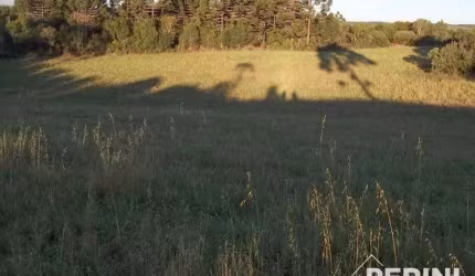 Chácara  para  Venda Vila Oliva Caxias do Sul - COOO100037
