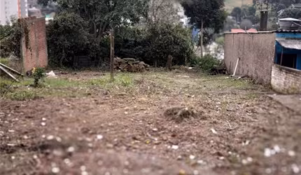 Terreno Cruzeiro  - TE100801