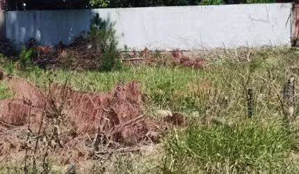 TERRENO à venda no Bairro CAPÃO NOVO com 300 m² de área privativa