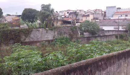 Terreno, 1194 m² - venda por R$ 3.600.000,00 ou aluguel por R$ 7.150,00 - Jardim Vila Formosa - São Paulo/SP