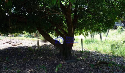 Terreno à venda, 1000 m² por R$ 158.000,00 - Jardim Das Paineiras - Águas da Prata/SP