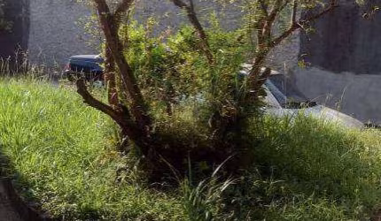 Terreno à venda, 367 m² por R$ 480.000,00 - Jardim Egle - São Paulo/SP