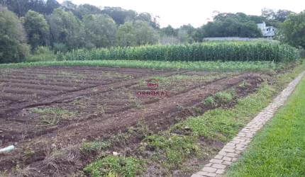 Terreno à venda na Estrada Vereador Marcial Pisoni, 1, Nossa Senhora da Saúde, Caxias do Sul por R$ 2.000.000