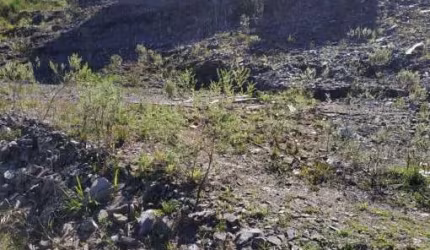 Terreno à venda na Rua João Eli Silveira, Nossa Senhora das Graças, Caxias do Sul por R$ 345.000