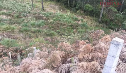 Terreno à venda na Rua Guerino Sanvitto, 0000, Sanvitto, Caxias do Sul por R$ 2.150.000