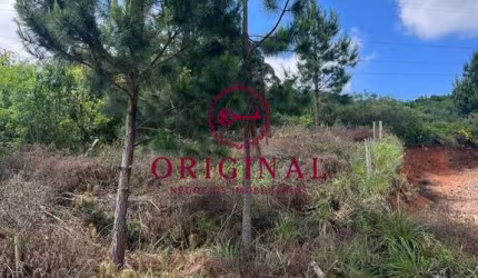 Terreno à venda na Estrada Municipal Avelina Tomazzoni Piccoli, 1, Monte Bérico, Caxias do Sul por R$ 180.000