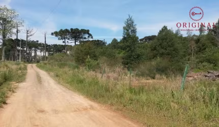 Terreno à venda na Travessão Victor Emanuel, 025, Maestra, Caxias do Sul por R$ 800.000