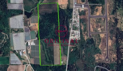 Terreno à venda na Mato Perso - Vrs 864,  S / N, Linha Palmeiro, Farroupilha por R$ 6.000.000