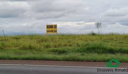 ÁREA INDUSTRIAL, 3.724 ALQUEIRES, FRENTE PARA RODOVIA 369, ROLANDIA