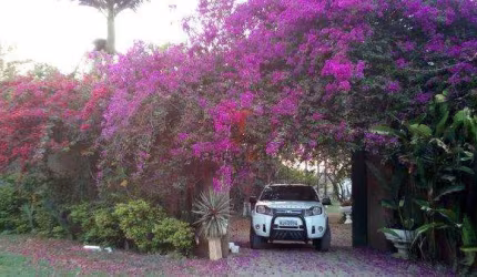VENDA/PERMUTA – CHÁCARA ÁGUA BRANCA - PIRACICABA