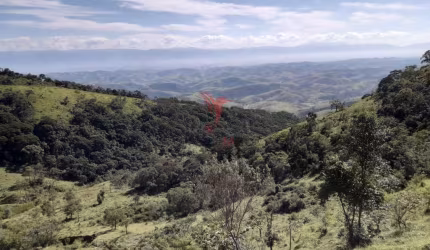 Propriedade rural no bairro do Fogueteiro, com 66 Hectares