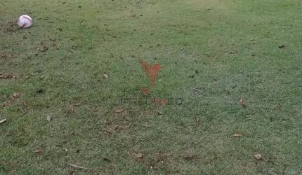 Terreno plano de 1100 mts2, á venda na Colônia em Guaratinguetá. Analisa permuta