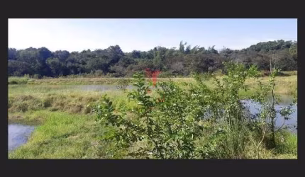 Chácara 6 Alqueires Escriturados Próximo a São Miguel do Iguaçu/PR!