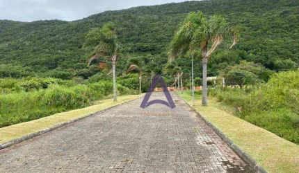 Terreno à venda, 401 m² por R$ 500.000,00 - Pântano do Sul - Florianópolis/SC