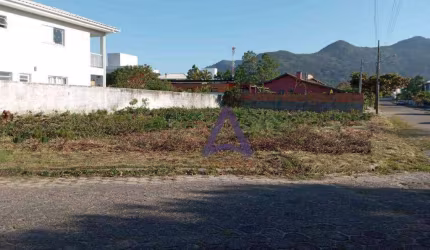 Terreno à venda, 550 m² por R$ 1.400.000,00 - Pântano do Sul - Florianópolis/SC