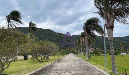 Terreno à venda, 380 m² por R$ 420.000,00 - Pântano do Sul - Florianópolis/SC
