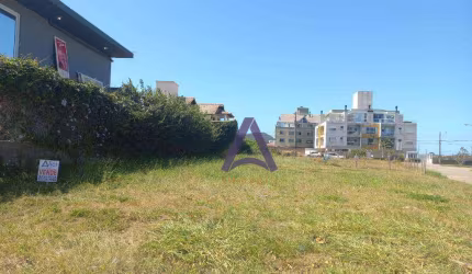 Terreno à venda, 533 m² por R$ 2.120.000,00 - Campeche - Florianópolis/SC