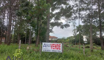 Terreno à venda, 2000 m² por R$ 6.500.000,00 - Campeche - Florianópolis/SC