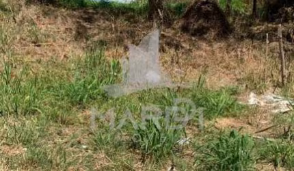 Terreno à venda na Rua Doutor Cláudio Walter Ferreira da Silva, 222, Guarujá, Porto Alegre por R$ 155.000