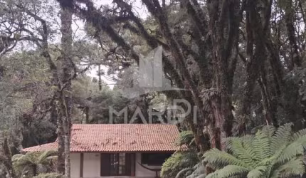 Casa com 2 quartos à venda na Irmão Albino Bruneto, 170, Parque Laje da Pedra, Canela por R$ 1.200.000