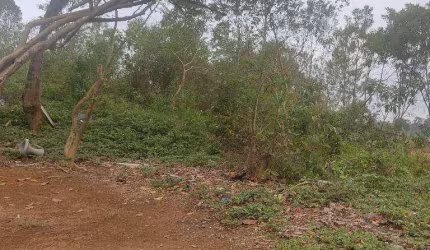 Terreno à venda, 3000 m² por R$ 150.000,00 - Cidade Nova Bonsucesso - Guarulhos/SP