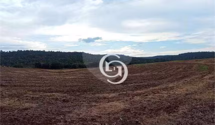 Chácara à venda, 20000 m² por R$ 500.000 - Condomínio de Chácaras Mirante do Parque - Santa Tereza do Oeste/PR