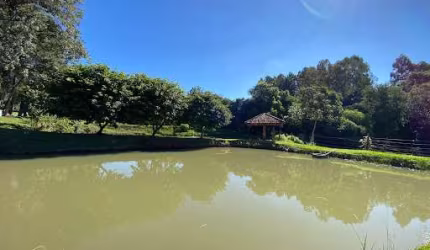 Chácara com 2 dormitórios à venda, 12000 m² por R$ 1.600.000,00 - Rural - Cascavel/PR