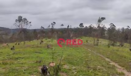 Área à venda, 52000 m² por R$ 3.000.000,00 - Zona Rural - Louveira/SP
