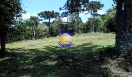 Terreno à venda na Nossa Senhora do Rosário, Caxias do Sul  por R$ 4.000.000