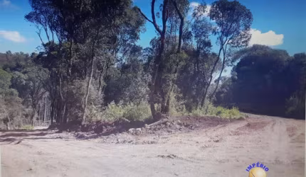 Chácara / sítio à venda na Zona Rural, Farroupilha , 69000 m2 por R$ 1.010.000