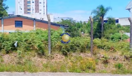 Terreno à venda no Sanvitto, Caxias do Sul , 810 m2 por R$ 990.000