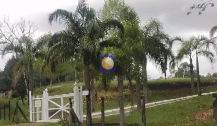 Chácara / sítio com 3 quartos à venda na Fazenda Souza, Caxias do Sul , 31288 m2 por R$ 950.000