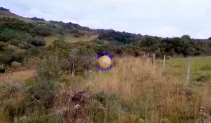 Chácara / sítio à venda na Fazenda Souza, Caxias do Sul , 23400 m2 por R$ 185.000