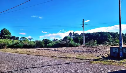 Terreno à venda no Santa Isabel, São Francisco de Paula  por R$ 125.000