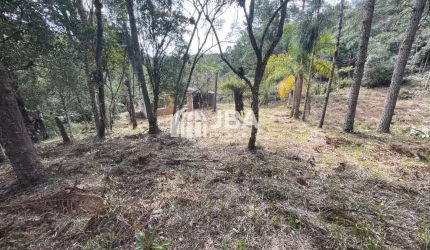 Chácara / sítio com 2 quartos à venda na João Carlos Wisniewski Juawski, Borda do Campo, São José dos Pinhais, 70 m2 por R$ 350.000