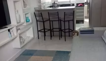 *Lindo apartamento mobiliado de 48 m²!*