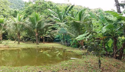 Terreno, Jardim Marafunda, Ubatuba - R$ 5 mi, Cod: 853