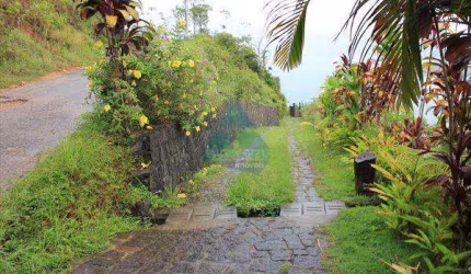 Terreno, Almada, Ubatuba - R$ 1.25 mi, Cod: 546