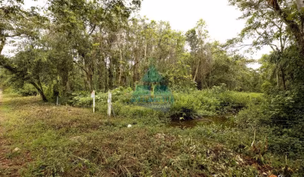 Terreno, Park Tabatinga, Ubatuba - R$ 500 mil, Cod: 1714