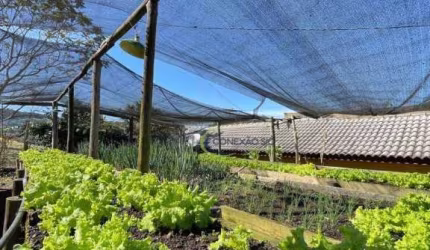 Haras com 11 alqueres  à venda, 266200 m² por R$ 3.500.000 - Ribeirão Grande - Pindamonhangaba/SP