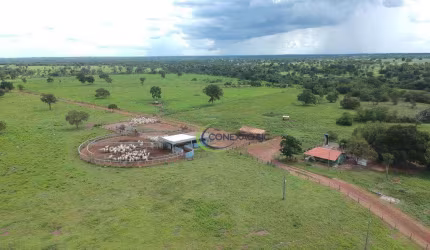 Fazenda com 4 dormitórios à venda, 160058800 m² por R$ 200.000.000,00 - Centro - Bonópolis/GO